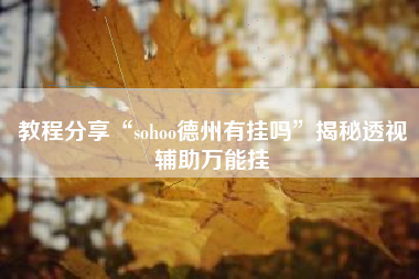 教程分享“sohoo德州有挂吗”揭秘透视辅助万能挂