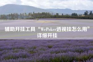 辅助开挂工具“WePoker透视挂怎么用”详细开挂