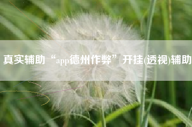 真实辅助“app德州作弊”开挂(透视)辅助