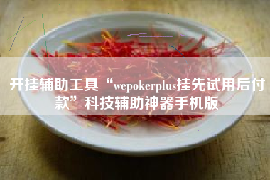开挂辅助工具“wepokerplus挂先试用后付款”科技辅助神器手机版