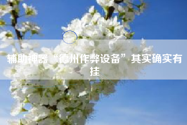 辅助神器“德州作弊设备”其实确实有挂