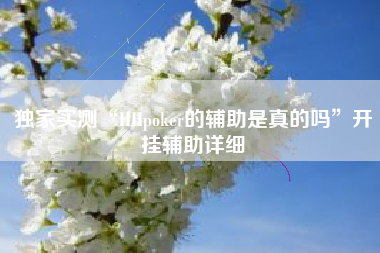 独家实测“HHpoker的辅助是真的吗”开挂辅助详细