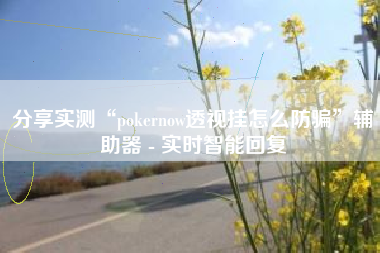 分享实测“pokernow透视挂怎么防骗”辅助器 - 实时智能回复