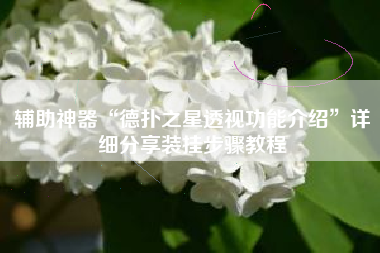 辅助神器“德扑之星透视功能介绍”详细分享装挂步骤教程