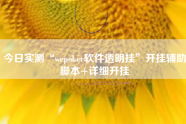 今日实测“wepoker软件透明挂”开挂辅助脚本+详细开挂