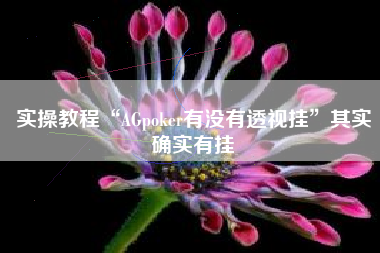 实操教程“AGpoker有没有透视挂”其实确实有挂