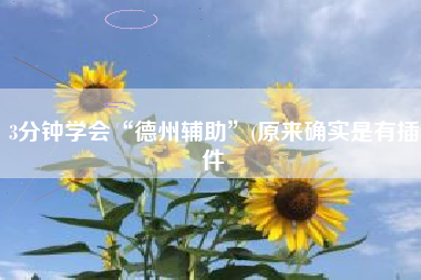 3分钟学会“德州辅助”(原来确实是有插件