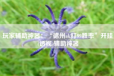 玩家辅助神器：“德州ak打99胜率”开挂(透视)辅助神器
