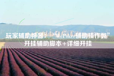 玩家辅助神器：“WePoker辅助挂作弊”开挂辅助脚本+详细开挂