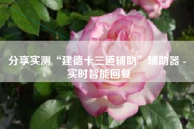 分享实测“建德十三道辅助”辅助器 - 实时智能回复