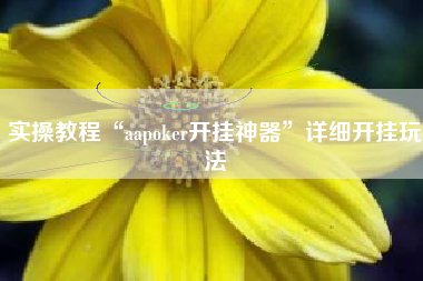 实操教程“aapoker开挂神器”详细开挂玩法