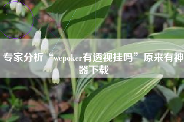 专家分析“wepoker有透视挂吗”原来有神器下载