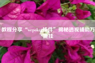 教程分享“wepoker挂件”揭秘透视辅助万能挂