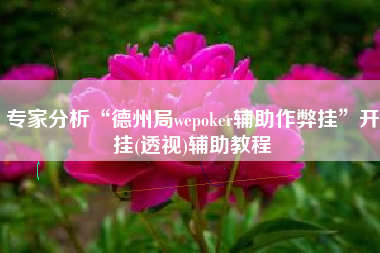 专家分析“德州局wepoker辅助作弊挂”开挂(透视)辅助教程
