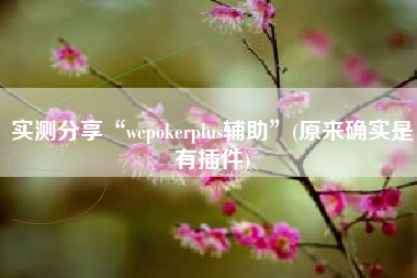 实测分享“wepokerplus辅助”(原来确实是有插件)