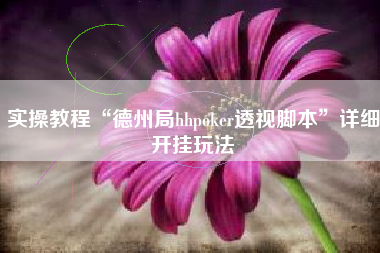 实操教程“德州局hhpoker透视脚本”详细开挂玩法