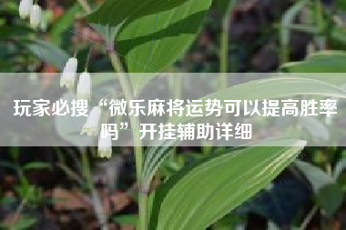 玩家必搜“微乐麻将运势可以提高胜率吗”开挂辅助详细