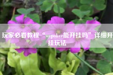 玩家必看教程“wepoker能开挂吗”详细开挂玩法