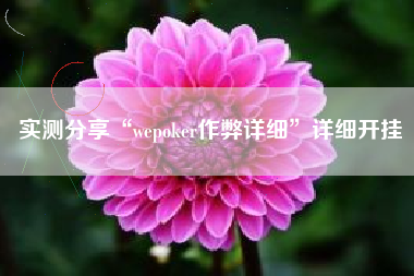 实测分享“wepoker作弊详细”详细开挂