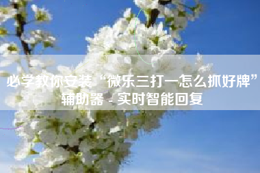 必学教你安装“微乐三打一怎么抓好牌”辅助器 - 实时智能回复