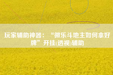 玩家辅助神器：“微乐斗地主如何拿好牌	”开挂(透视)辅助