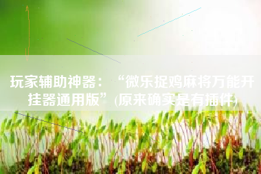 玩家辅助神器：“微乐捉鸡麻将万能开挂器通用版	”(原来确实是有插件)