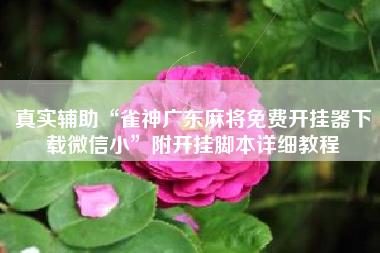 真实辅助“雀神广东麻将免费开挂器下载微信小”附开挂脚本详细教程