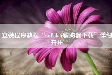 安装程序教程“wePoker辅助器下载”详细开挂