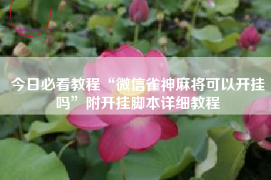 今日必看教程“微信雀神麻将可以开挂吗”附开挂脚本详细教程