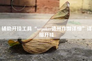 辅助开挂工具“wepoker德州作弊详细”详细开挂