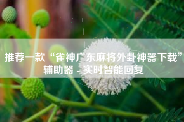 推荐一款“雀神广东麻将外卦神器下载	”辅助器 - 实时智能回复