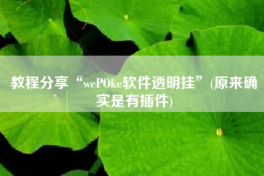 教程分享“wePOke软件透明挂	”(原来确实是有插件)