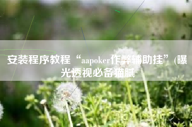 安装程序教程“aapoker作弊辅助挂	”(曝光透视必备猫腻
