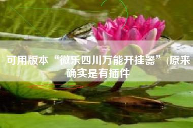 可用版本“微乐四川万能开挂器”(原来确实是有插件
