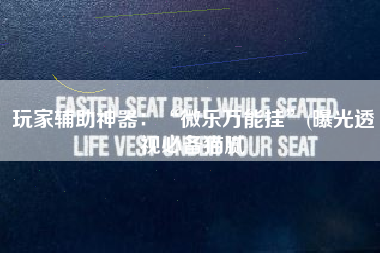 玩家辅助神器：“微乐万能挂	”(曝光透视必备猫腻