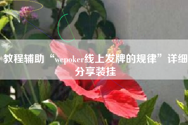 教程辅助“wepoker线上发牌的规律”详细分享装挂