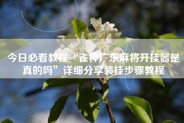 今日必看教程“雀神广东麻将开挂器是真的吗”详细分享装挂步骤教程