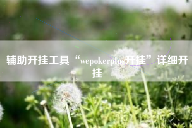 辅助开挂工具“wepokerplus开挂	”详细开挂