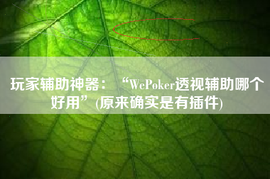 玩家辅助神器：“WePoker透视辅助哪个好用”(原来确实是有插件)