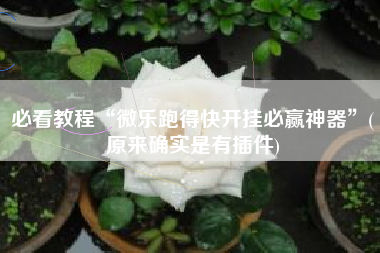 必看教程“微乐跑得快开挂必赢神器”(原来确实是有插件)