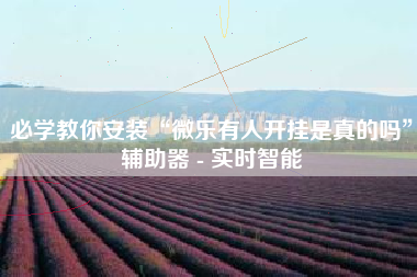 必学教你安装“微乐有人开挂是真的吗”辅助器 - 实时智能