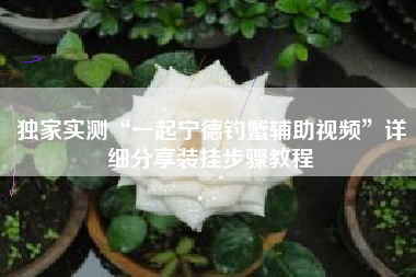 独家实测“一起宁德钓蟹辅助视频”详细分享装挂步骤教程