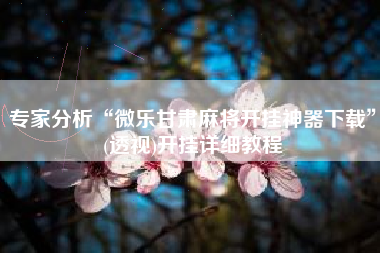 专家分析“微乐甘肃麻将开挂神器下载”(透视)开挂详细教程