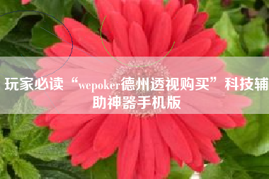 玩家必读“wepoker德州透视购买	”科技辅助神器手机版