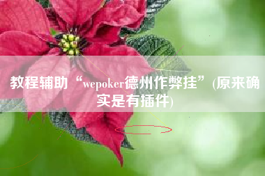 教程辅助“wepoker德州作弊挂	”(原来确实是有插件)