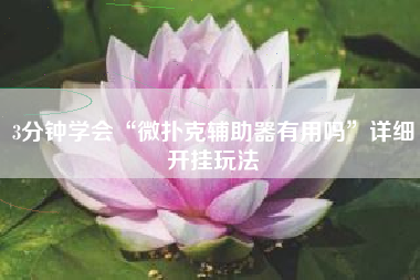 3分钟学会“微扑克辅助器有用吗	”详细开挂玩法