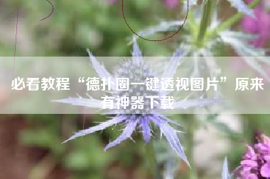 必看教程“德扑圈一键透视图片	”原来有神器下载