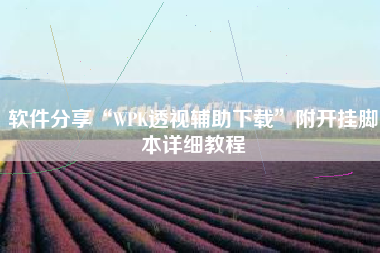 软件分享“WPK透视辅助下载”附开挂脚本详细教程