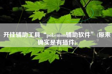 开挂辅助工具“pokemon辅助软件	”(原来确实是有插件)