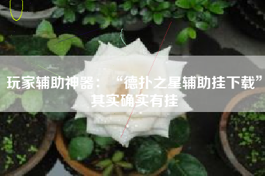 玩家辅助神器：“德扑之星辅助挂下载	”其实确实有挂